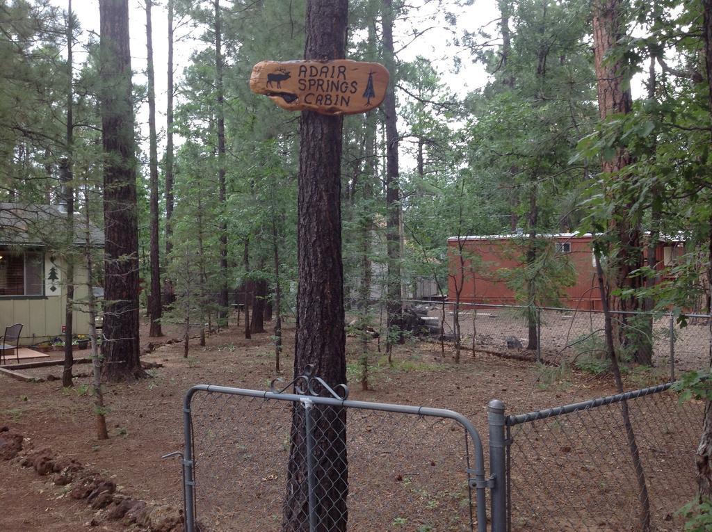 Adair Springs Cabin Pinetop-Lakeside Exterior foto